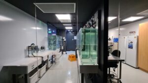 cosmetic lab