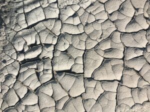 sucha i podrażniona skóra