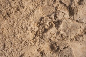Velvet Powder SPF 50